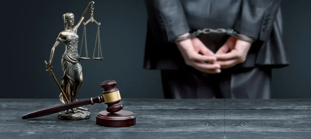 القضايا الجنائية